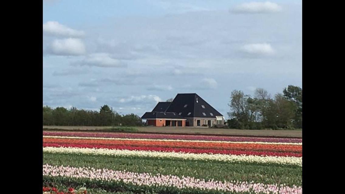 Boerderij De Waard Bed & Breakfast Anna Paulowna Dış mekan fotoğraf